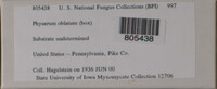 Image Associated With the Occurence